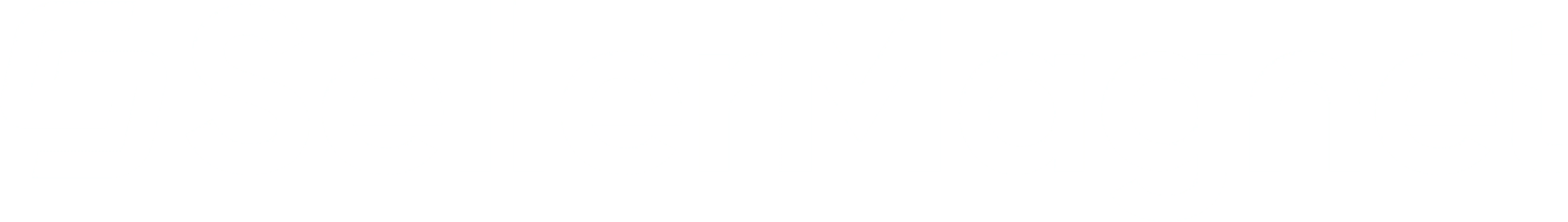SellerMagnet Logo white